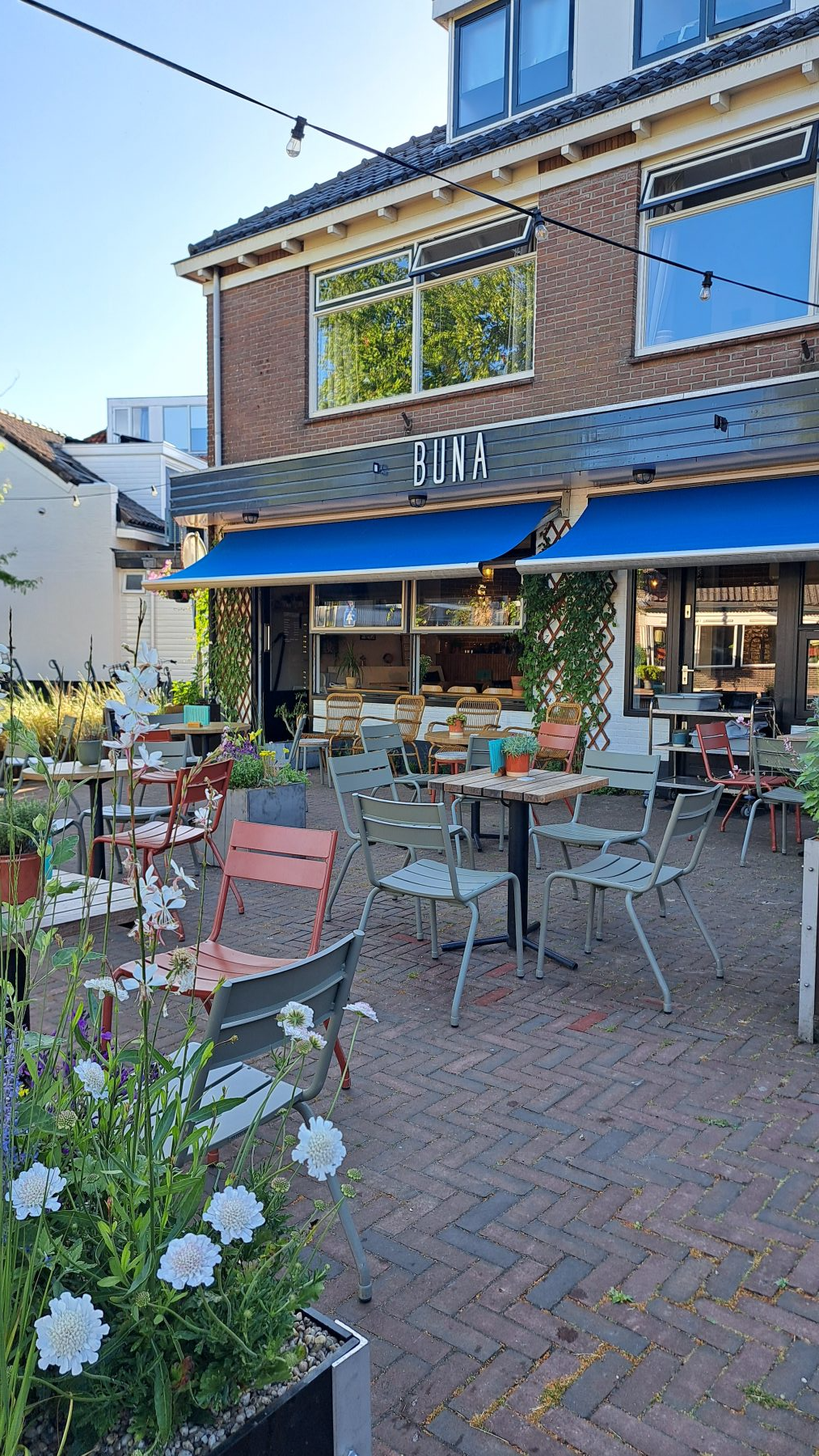 Een idee uit Nieuw-Zeeland, geworteld in Castricum